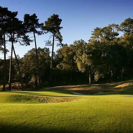 וילה Ref 272,seignosse Ocean, Patio A 150m De La Plage, Avec Place De Parking Et Piscine Commune , 4 Personnes סניוס